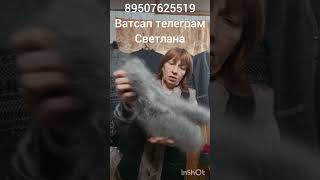 картинка: 3 октября 2025 г.