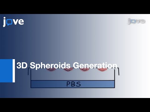 Video: Spheroids hutengenezwaje?