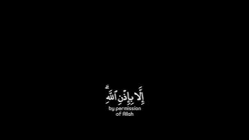 القارئ : رعد الكردي .سـورة : التغابن ، الآية ١١