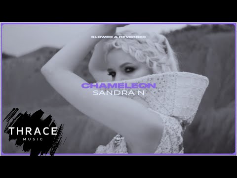 SANDRA N -