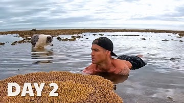 3 Wild Catch and Cook Survival Moments You Must See