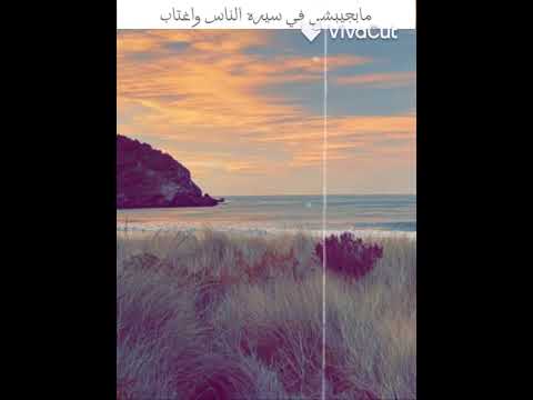 انا عمري ماكنت وحش مع حد لايك