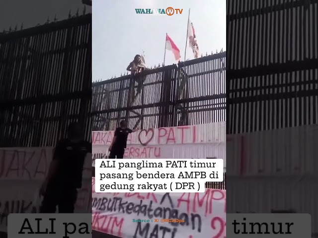 AKSI PANGLIMA PATI DI GEDUNG DPR