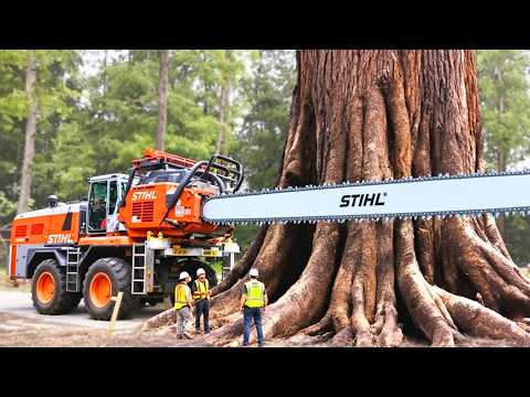 Crazy Monster Chainsaw Machines Cutting Giant Trees | Heavy-Duty Stump Removal Excavator #6