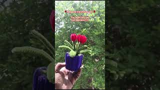 mini flower pots*available in customised flower pot more details what's up.