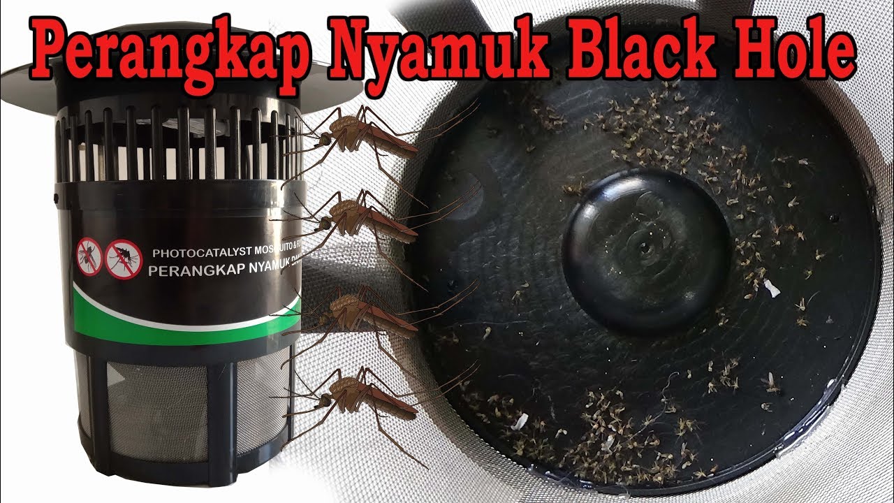 Rangkaian Pengusir Nyamuk Paling Ampuh