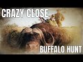 Cape Buffalo Hunting Safari in Africa with BoschNel Safaris
