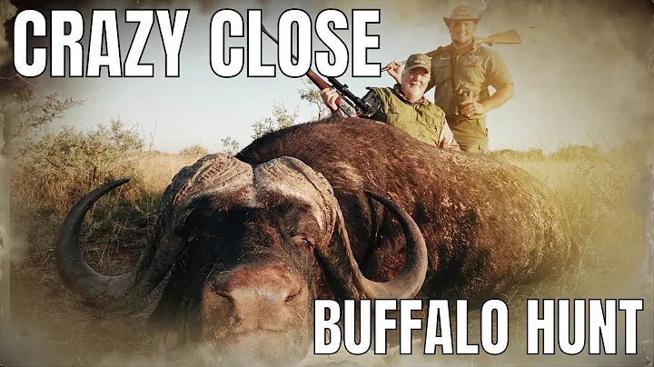 Cape Buffalo Hunting Safari in Africa with BoschNel Safaris