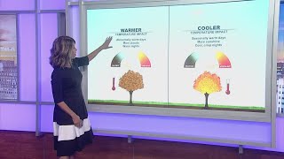 Weather can have a big impact on Fall color