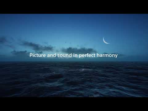 Televizor Smart OLED Sony BRAVIA AG8 | FLANCO