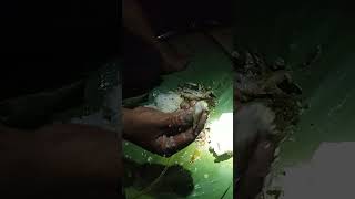 Fishing at night. Dinner at night youtube yotubeshorts fishing @akumvlogs