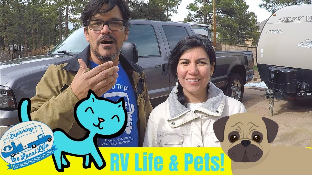 RVing with Pets - Tips for RVing with Dogs & Cats