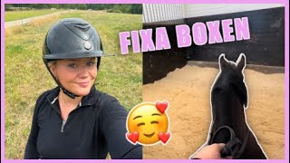 SISTA RIDPASSET INNAN FLYTTEN | Stallvlogg