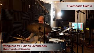 V1 Multi-Capsule Pencil Condenser Microphone