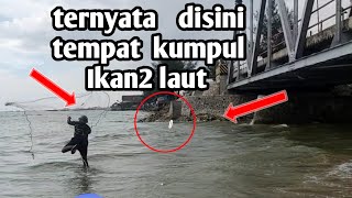 nekad || pertama kali bpk TNI jala ikan di laut Tuban || menjala ikan di laut tuban