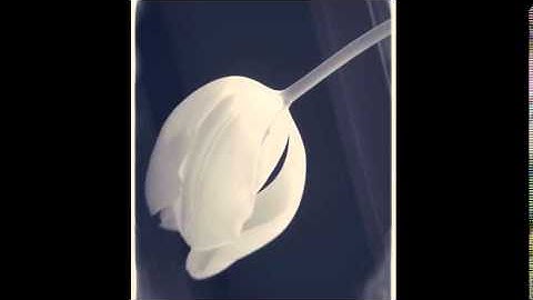 محمد طه الجنيد آواخر سورة البقرة