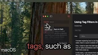View by Tags