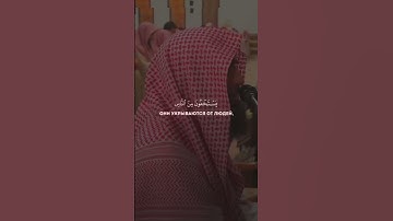 القارئ محمد اللحيدان #القرآن_الكريم #تلاوة_هادئة #اكسبلور #المصحف #لايك