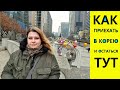 КАК УЕХАТЬ В КОРЕЮ И ОСТАТЬСЯ ТУТ ЖИТЬ