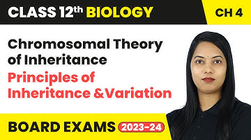 Chromosomal Theory of Inheritance - Principles of Inheritance and Variation | Class 12 Biology Ch 4