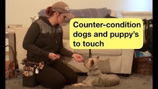 How to help dogs and puppy's nervous of touch, CounterConditioning