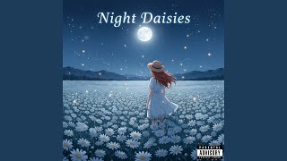 Daisies at Night