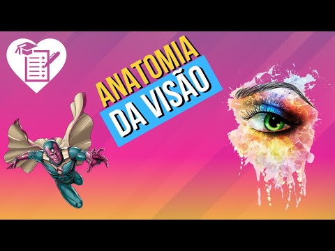 Vídeo: Diferença Entre Olhos Compostos E Olhos Simples