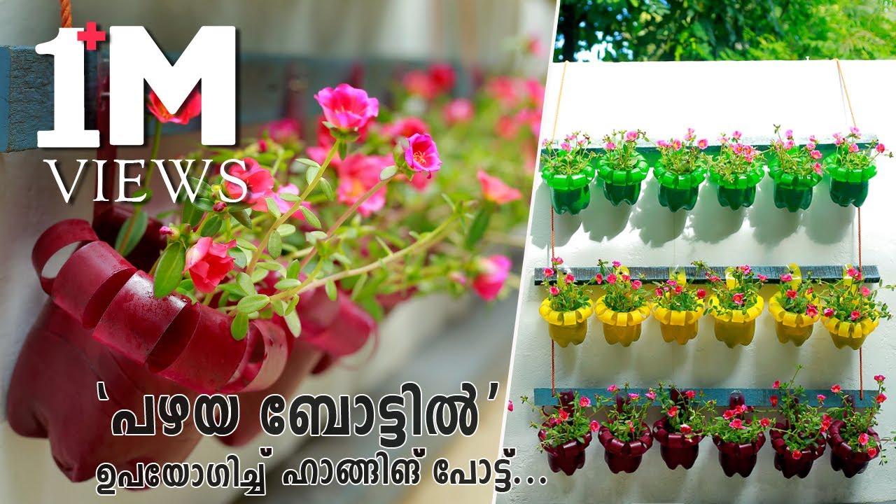 Amazing Vertical Garden Using Waste Plastic Bottles | Tree Planting In Hanging Bottles On Wall