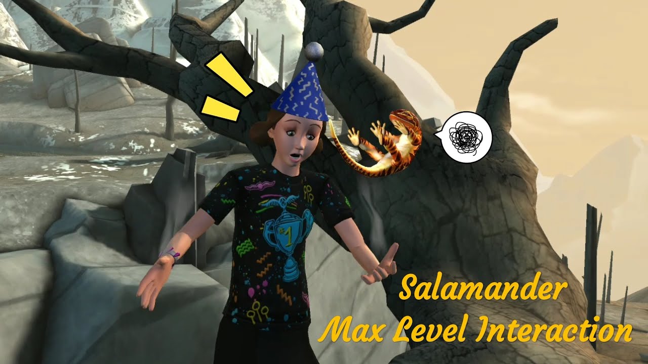 Max Level Max Level Max Level : r/HPHogwartsMystery