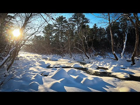 ️A Walk From Our House To Our Frozen Stream In The Fresh Snow - YouTube