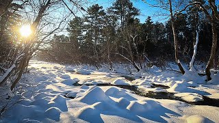 Download Lagu ❄️A Walk From Our House To Our Frozen Stream In The Fresh Snow MP3