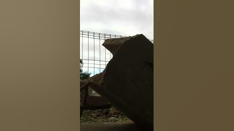 Figure four deadfall trap