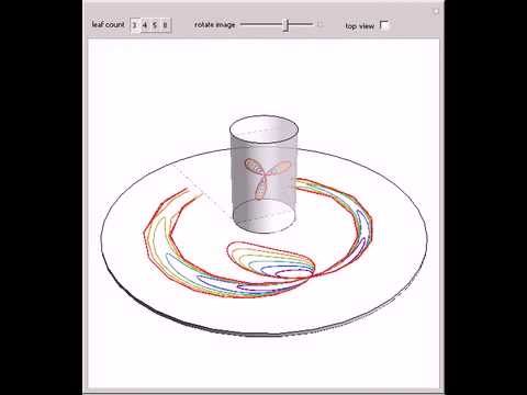 cylindrical mirror anamorphosis