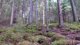Sappee Trail Run 2.8.2015