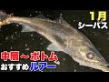 【１月の極寒河川】ソコリ〜上げ潮‼︎低活性シーバスおすすめルアー！