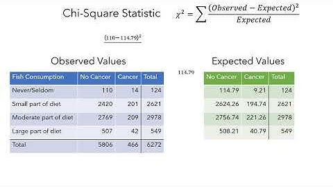 Chi Square Part 4: Independence