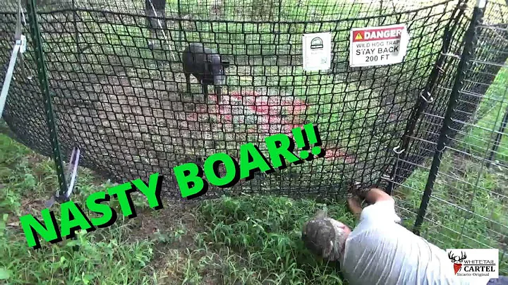 Pig Brig Catch & Load: 1 Boar Down, 30 to Go!!!