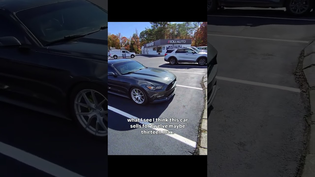 These mustangs refuse to depreciate