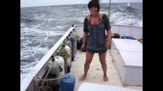 Shipwreck Survey 2010