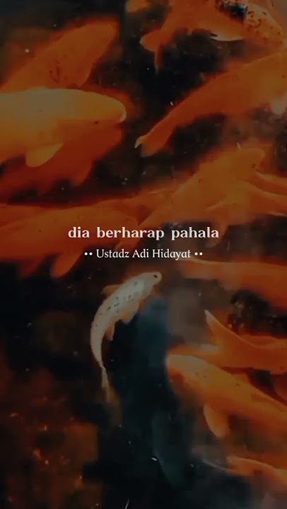 semoga Allah mengampuni dosa -dosa kita #videoviral #puasaramadhan #doamustajab #storywa #katabijak