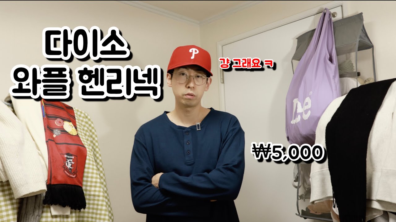 솔직히 기대 안 했는데; 다이소 와플 헨리넥, 진짜 기대 안 할 만함