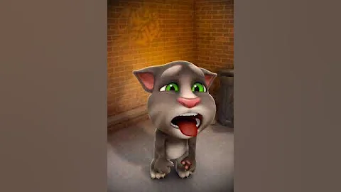 Untitled video