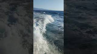 Mazlum Çimen Feryad - I İsyanım