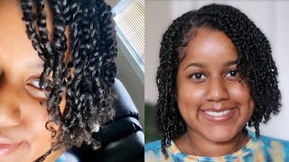 Mini Twists On Natural Hair | Easy Protective Style | How To