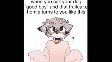 Shitpost Status Compilation V73