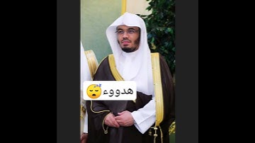 والنجم إذا هوى ~ هدووء وتلاوة جميلة تسكن إليها النفس❤😴 للشيخ ياسر الدوسري