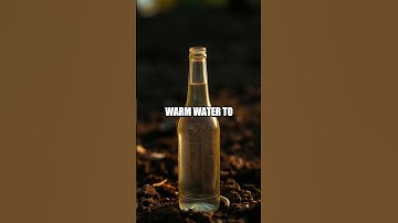 Tiny Rain Gauge Adventure