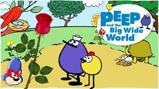 Pbs Kids Peep And The Big Wide World Games How Do Plants Grow