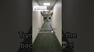 Trying to Escape the Backrooms