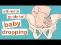 Top Baby Dropping Questions Answered in 5 Minutes 🤰